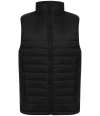 H875 Henbury Unisex Padded Gilet Black colour image